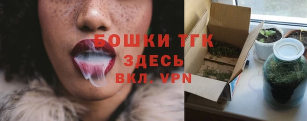 прущие грибы Козловка