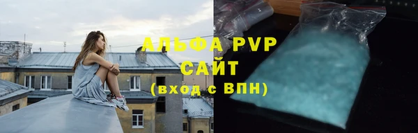 прущие грибы Козловка