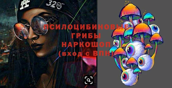 прущие грибы Козловка