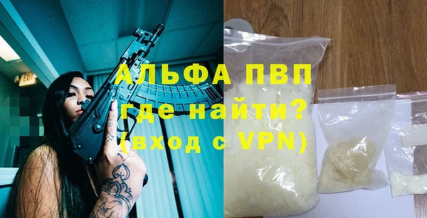 прущие грибы Козловка