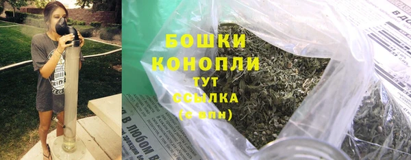 прущие грибы Козловка