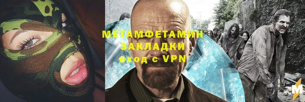 прущие грибы Козловка