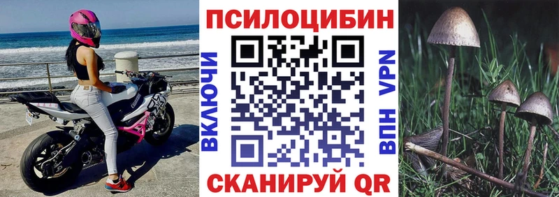 Псилоцибиновые грибы GOLDEN TEACHER  Купить где  Волхов 